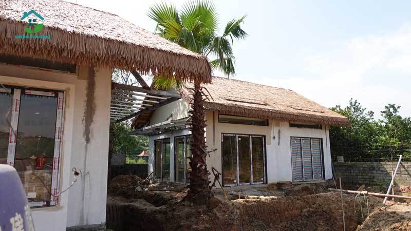 Homestay tại Hà Nội và Mái tranh nhân tạo | 12.000 tấm Rơm nhân tạo?!? Cỏ tranh nhân tạo giá tốt