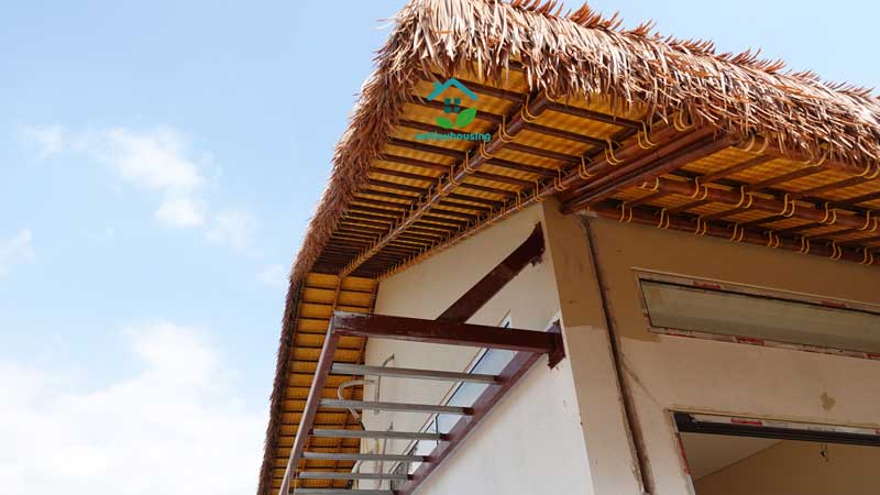 Homestay tại Hà Nội và Mái tranh nhân tạo | 12.000 tấm Rơm nhân tạo?!? Báo giá Rơm nhân tạo