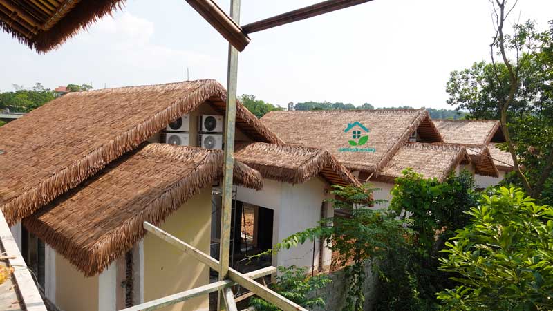 Homestay tại Hà Nội và Mái tranh nhân tạo | 12.000 tấm Rơm nhân tạo?!? Cỏ rơm vàng nhân tạo