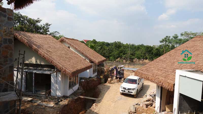 Homestay tại Hà Nội và Mái tranh nhân tạo | 12.000 tấm Rơm nhân tạo?!? Lá lợp nhà bằng nhựa
