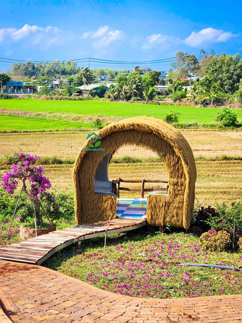 Cỏ Rơm Nhân Tạo Vũng Tàu Và The Hill Coffee & Camping