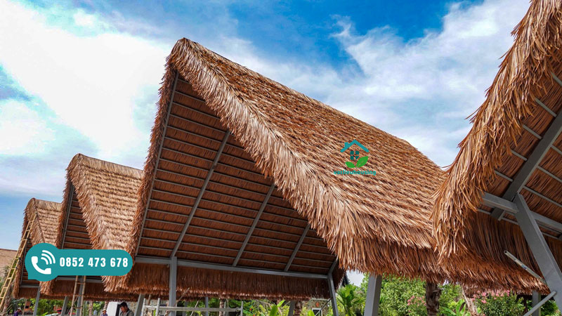 Cỏ tranh nhân tạo tp hồ chí minh