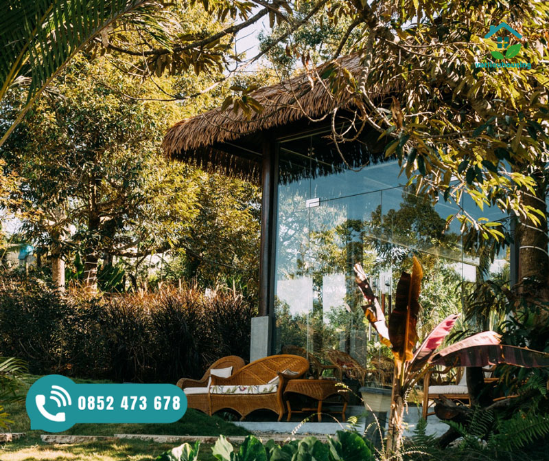 Cỏ tranh nhân tạo tại Buôn Ma Thuột
